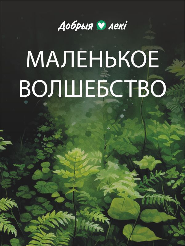 «Маленькое волшебство» начинается: как мы создаём искусство живой заботы в деталях